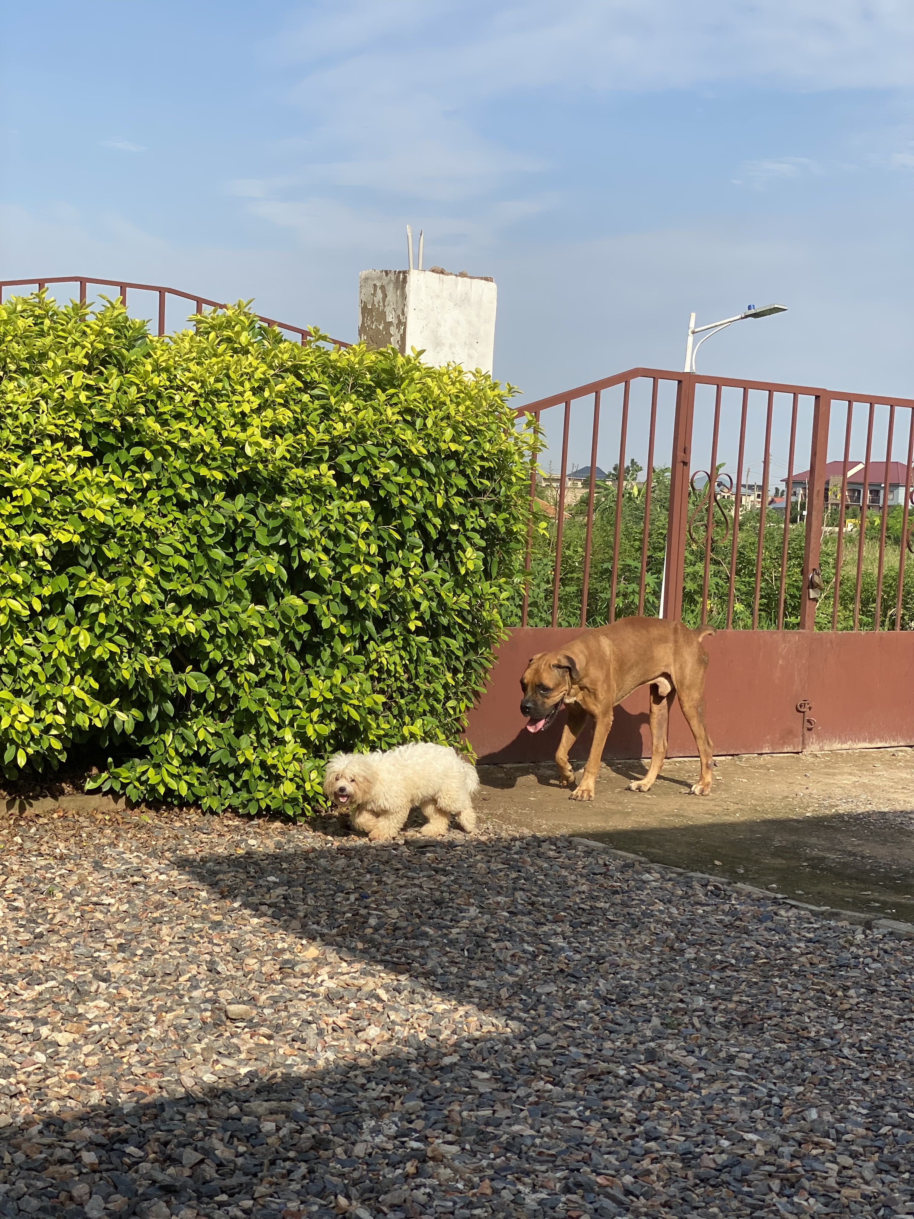 Trainer gallery